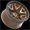 VORTEX VRT-603 MATTE BRONZE WITH BLACK BEAD RING 20X12 6X135/6X5.5 -44 +106.1 *NC*