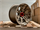 TR-8 MATTE BRONZE 17X8.0 6X5.5 +5 +106.1